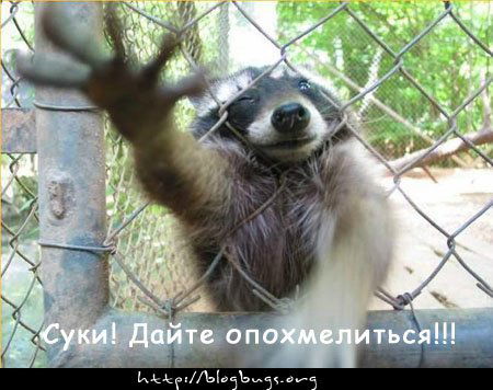 Дмитрий Федор