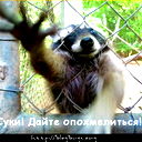 Дмитрий Федор