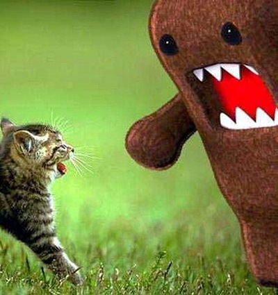 Валера Важенин