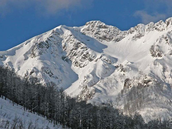 Полярные Авиалинии