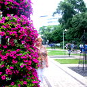 Елена Коваленкова