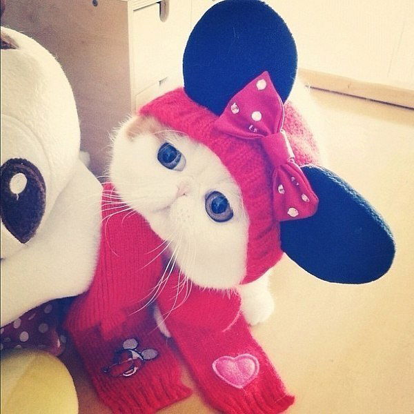 Виктория Лисева