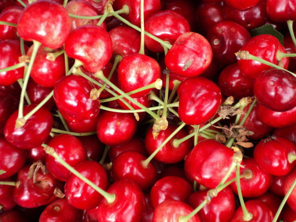 Ирина Жидкова