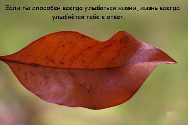 Марина Григорьева