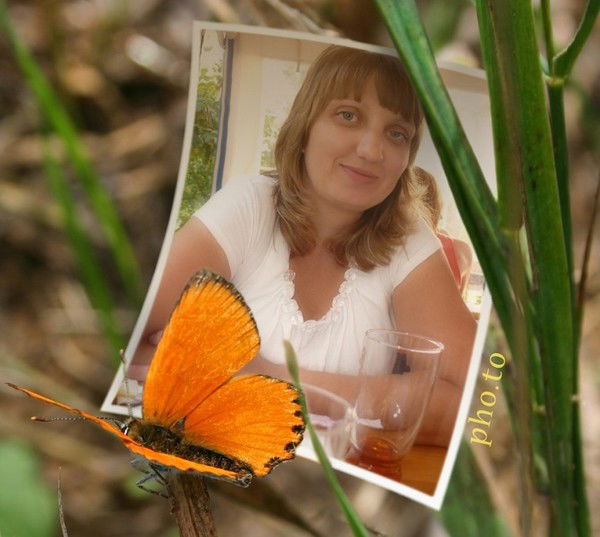 Светлана Винс