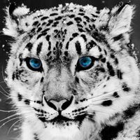 Костик Павлов