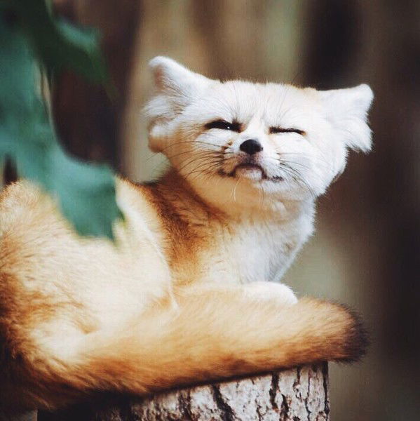 Алёна Таусенева