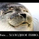 Ионов Александр