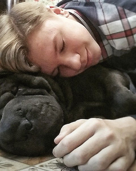 Сергей Лазарев