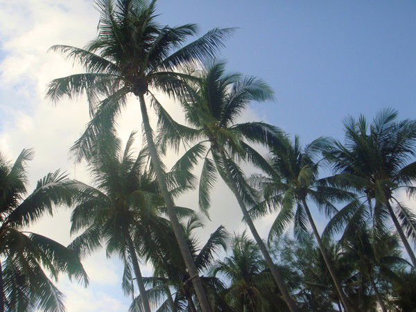 Юлия Французова