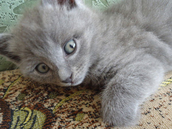 Флюра Габсалямова