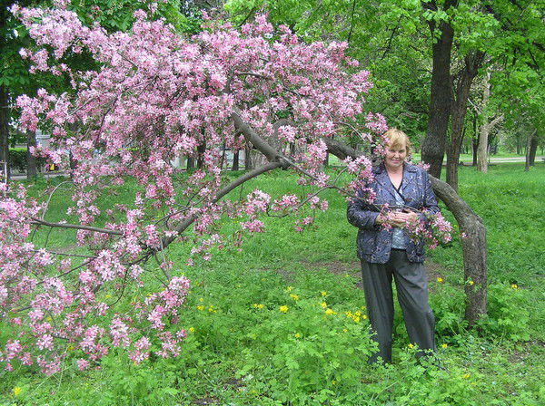 Людмила Шатилова
