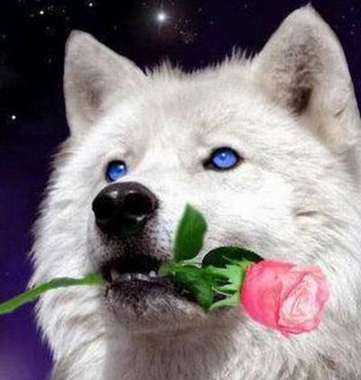 Фидания Мустафина