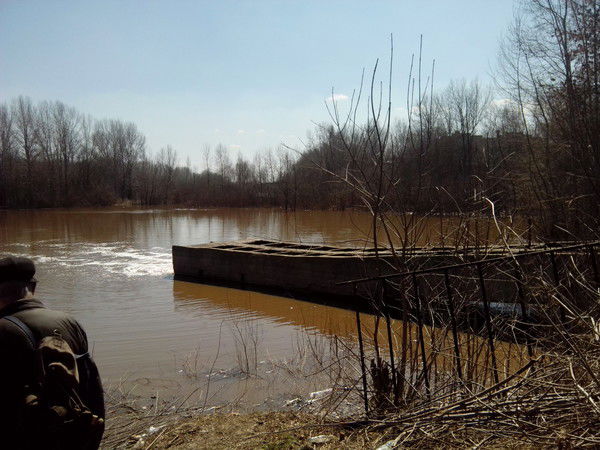 Валентина Акинина