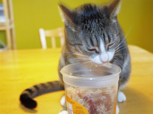 Елена Волынец