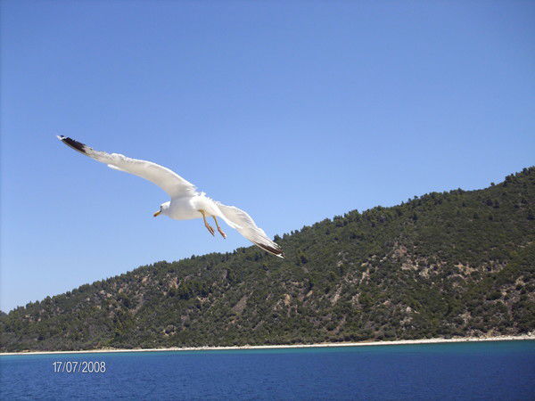 Лариса Ильина