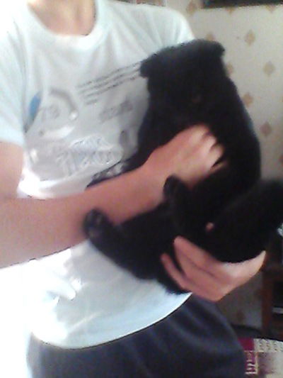 Артур Медведев