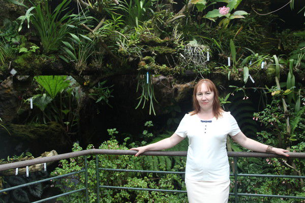 Елена Дебердеева