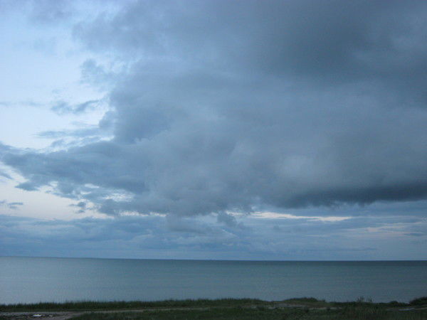 Николай Онищенко