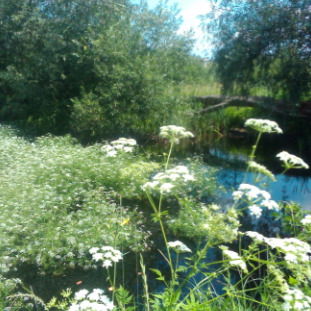 Юдашкина Ирен