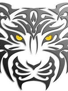 Серега Волгин