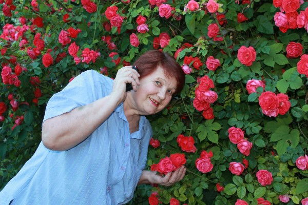 Любовь Березка