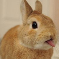 Аэлита Кочконбаева