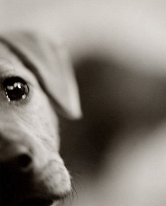 Анна Анатольевна