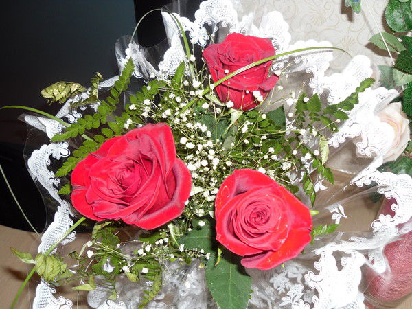 Елена Орлова