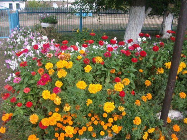 Нурмаганбетов Ержан