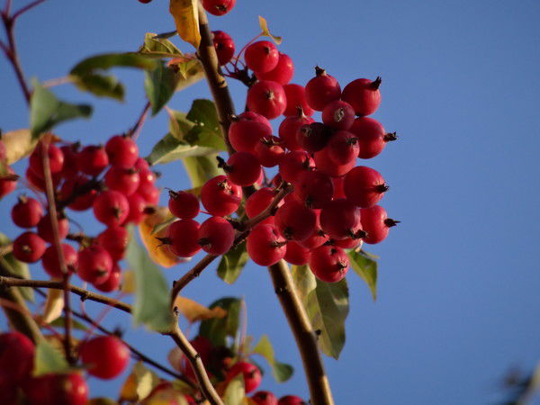 Сергей Никифоров