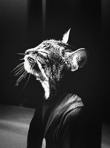 Светлана Левченко