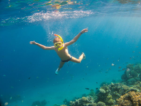 Ринат Вагапов