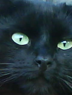 Светлана Жигулева