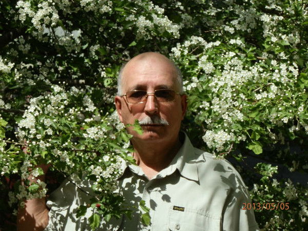 Анатолий Плотников