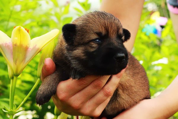 Mayda Тихонова