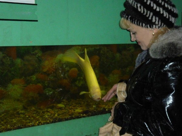 Елена Молодцева