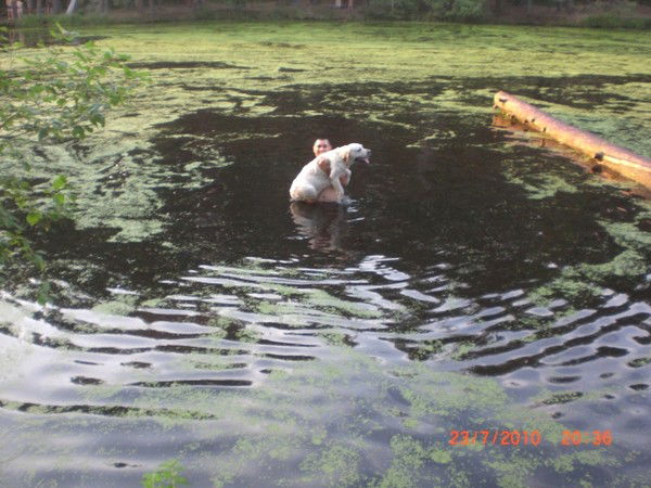 Евгений Филиппов