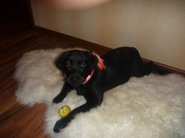 Елена Игумнова