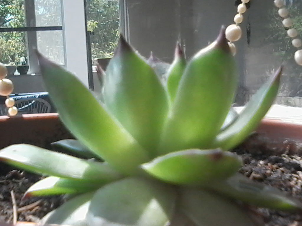 Мунара Таштанбекова