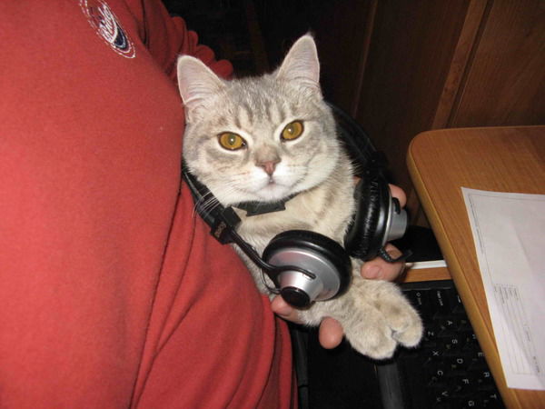 Владимир Шаров