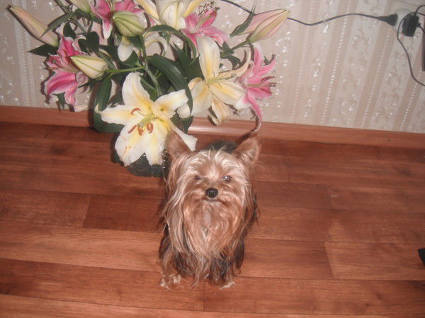 Татьяна Титова