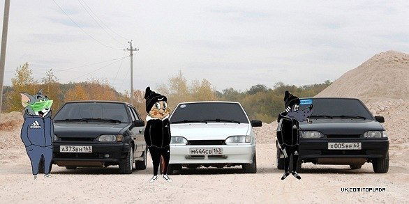 Дима Шеховец