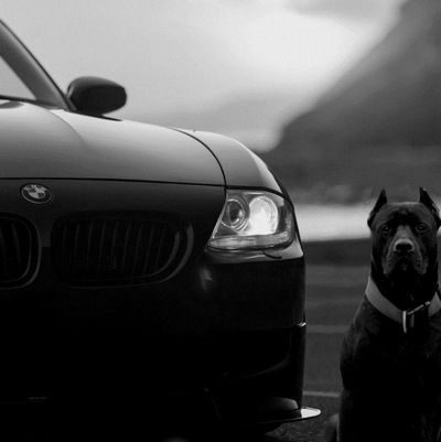 Виктория Русакова