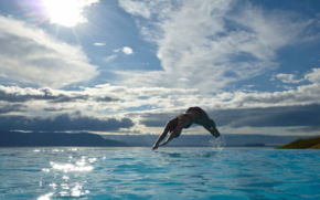 Никита Савочкин