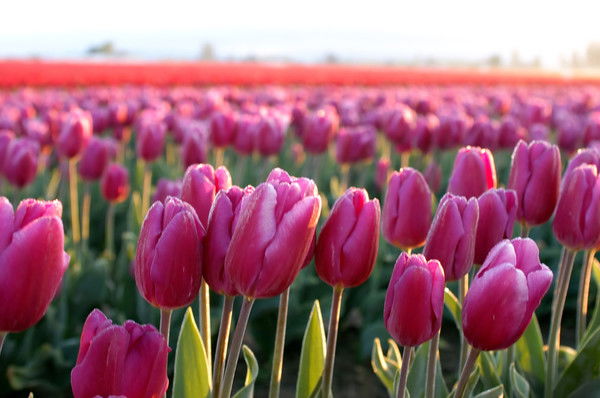 Марина Зорина