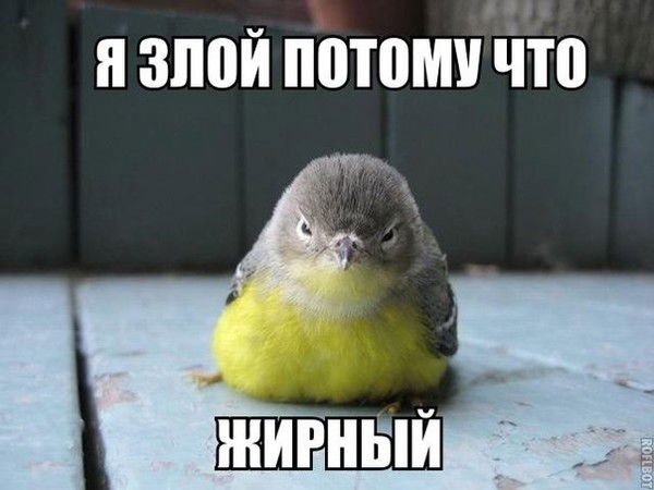 Кулян Рамазанова "кайдаулова"