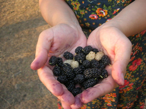 Лилия Арутюнян