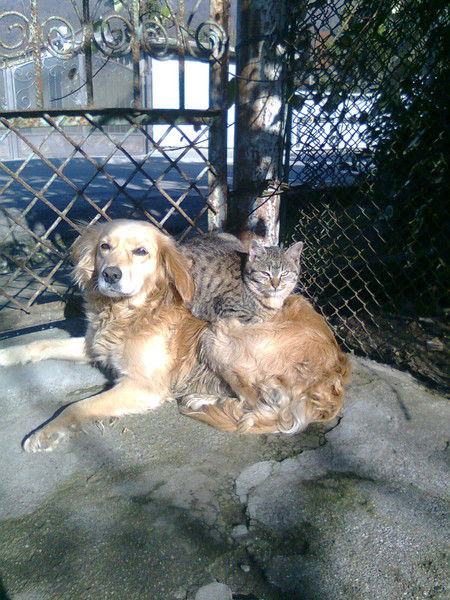 Ирина Буйдина