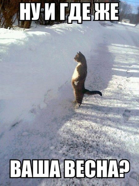 Роман Евтюхин